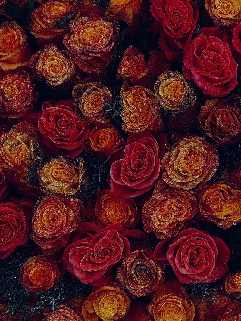 Heartfelt Poems